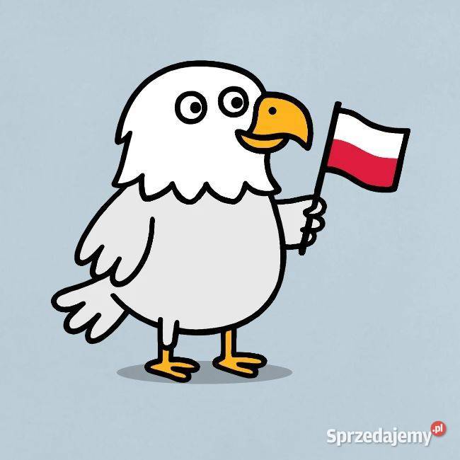 Ekologiczna patriotyczna koszulka niemowlaka Bluzki, koszulki i kaftaniki małopolskie Kraków