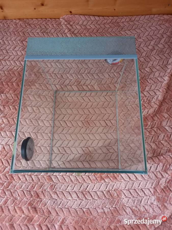 Terarium Terrarystyka Gorzów Wielkopolski