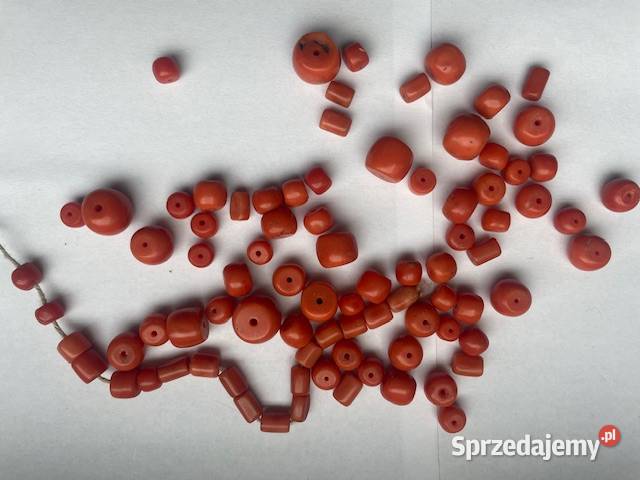 Piękne korale naturalne stan b Opole