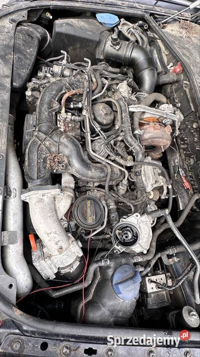 Części całość Volkswagen Phaeton 300000km Jarosław