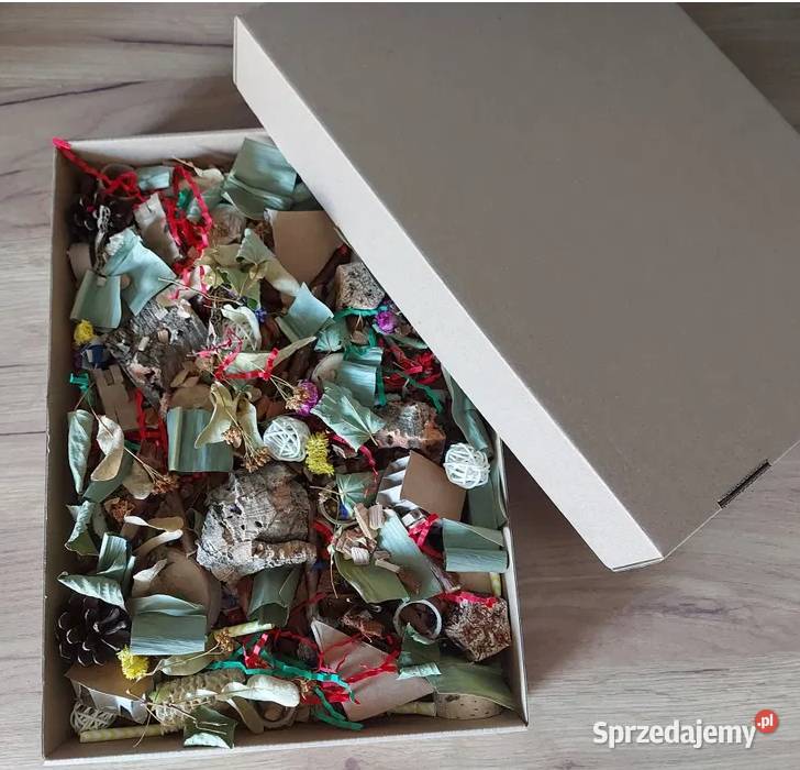 żerowisko papug Pasłęk sprzedam