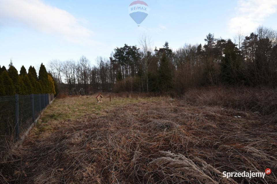 Działka budowlana lesie Kobiór 117 ar