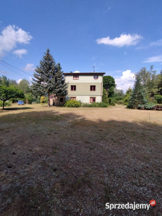 dom budynek gospodarczy działka 8000 m2 Korzeniówka sprzedam