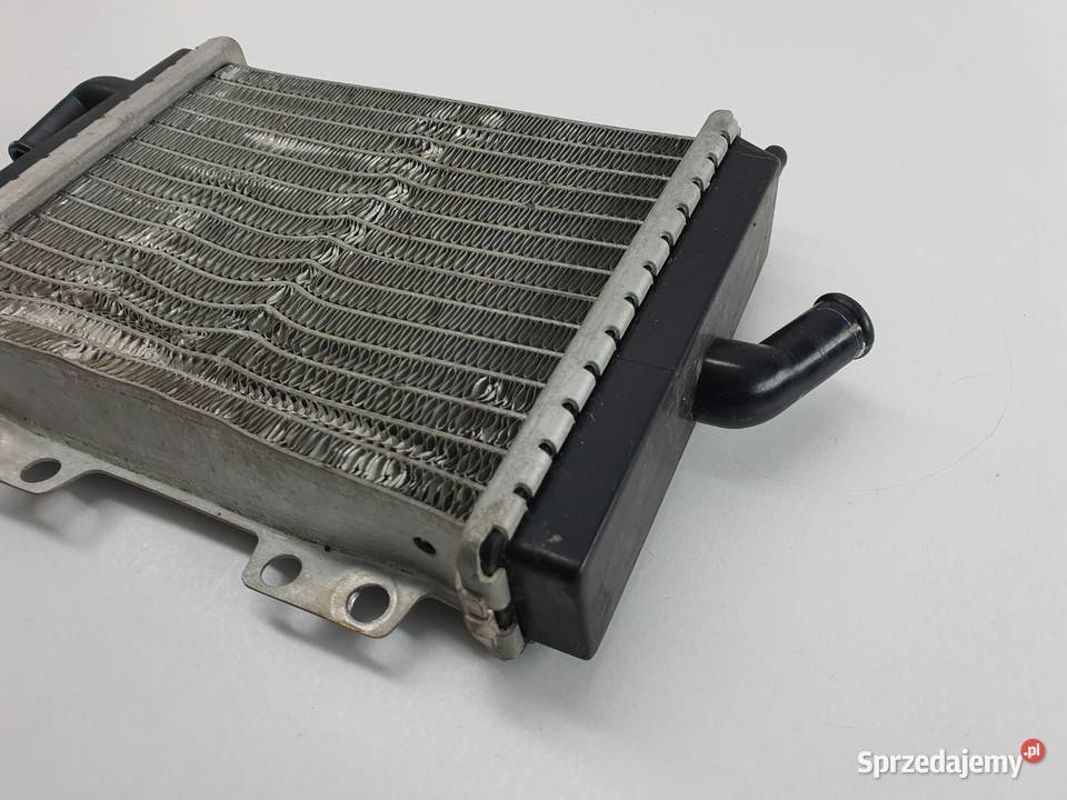 Chlodnica Peugeot Jet Force 50 łódzkie Łódź