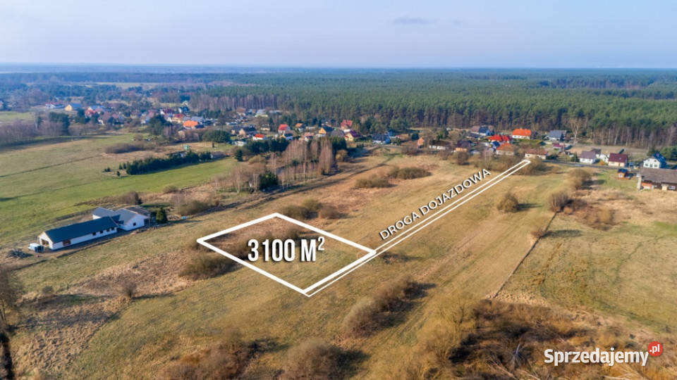 Działka w zielonej okolicy pod Szczecinem z 3100m2 Sowno