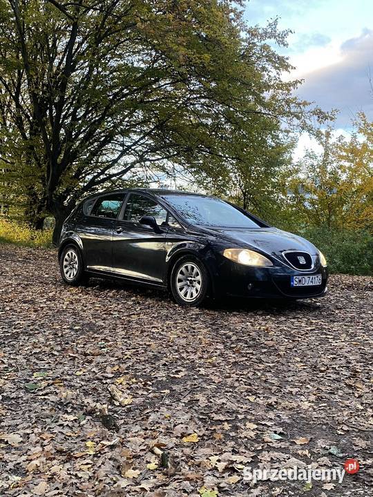 2007 SEAT Leon 21p Leon Kędzierzyn-Koźle