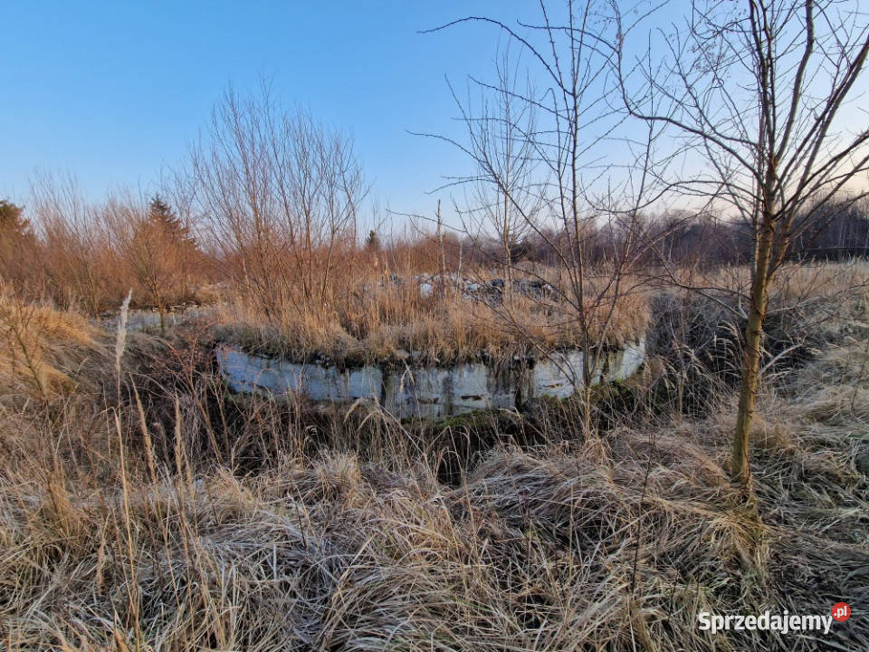 Nieruchomość na sprzedaż Sprzedaż opolskie Kamiennik
