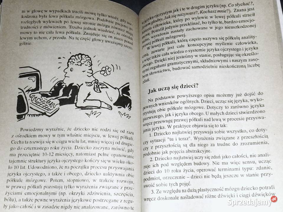 nauczyć się języka AMichońskaStadnik Chełm sprzedam