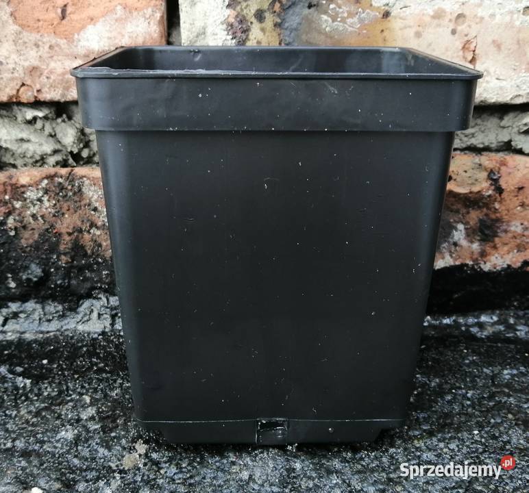 Doniczki produkcyjne P11 11x11x12 1L Siewierz