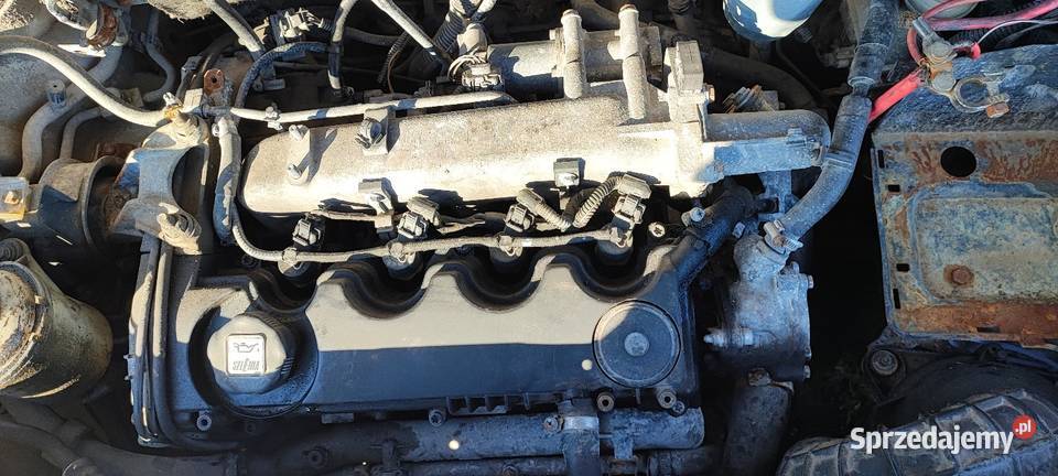 Silnik Fiat Doblo 19jtd Barcin