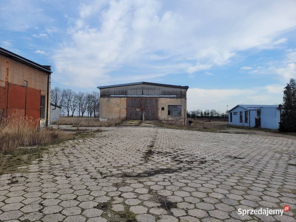 Kompleks o przeznaczeniu biurowomagazyn kujawsko-pomorskie Łochocin