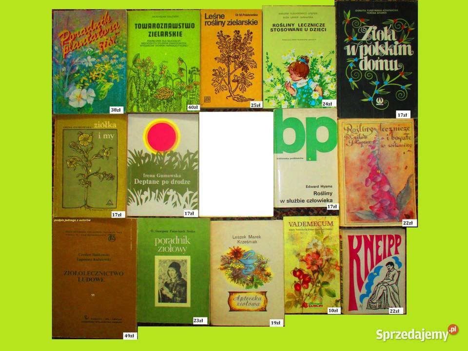 Poduszka SANITY Krąg przeciwodleżynowy piankowy Łódź