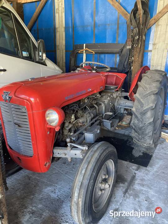 Massey Ferguson 35 Lusowo