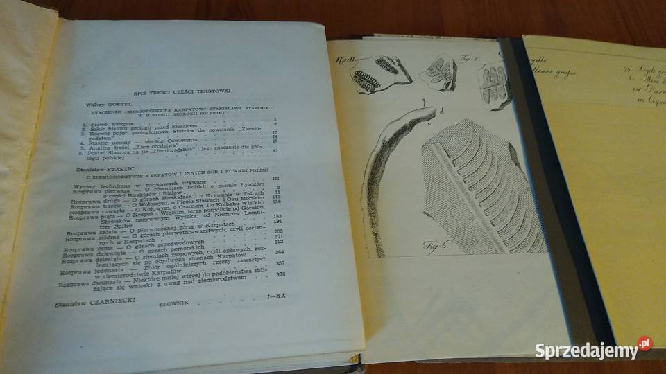 O ziemiorodztwie Karpatow i innych gor i rownin twarda Gdańsk