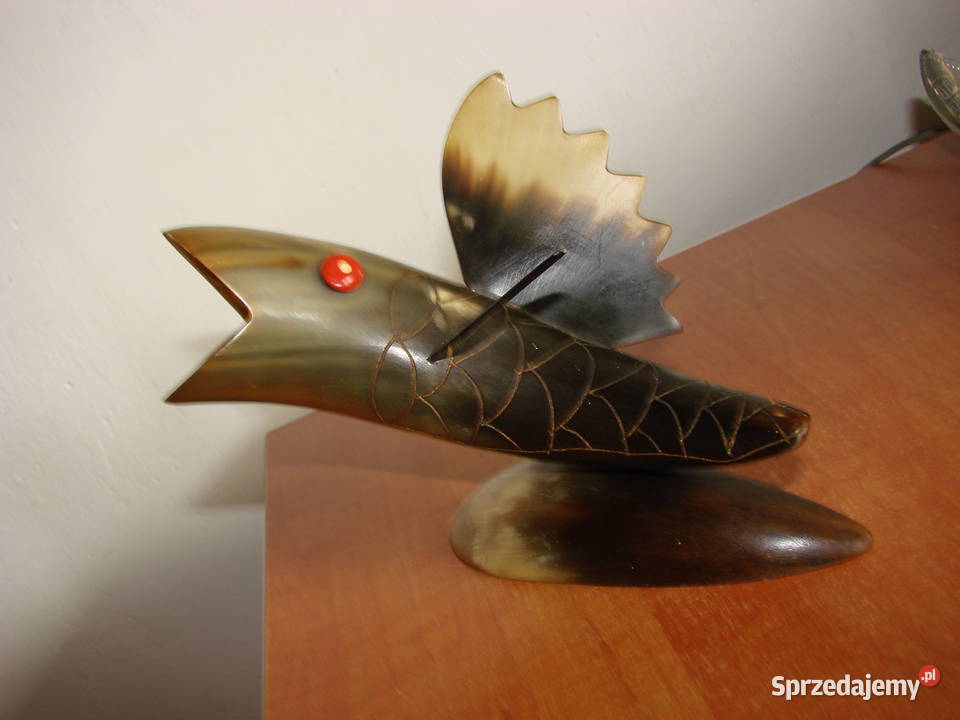 Ryba z rogu pomorskie Pruszcz Gdański