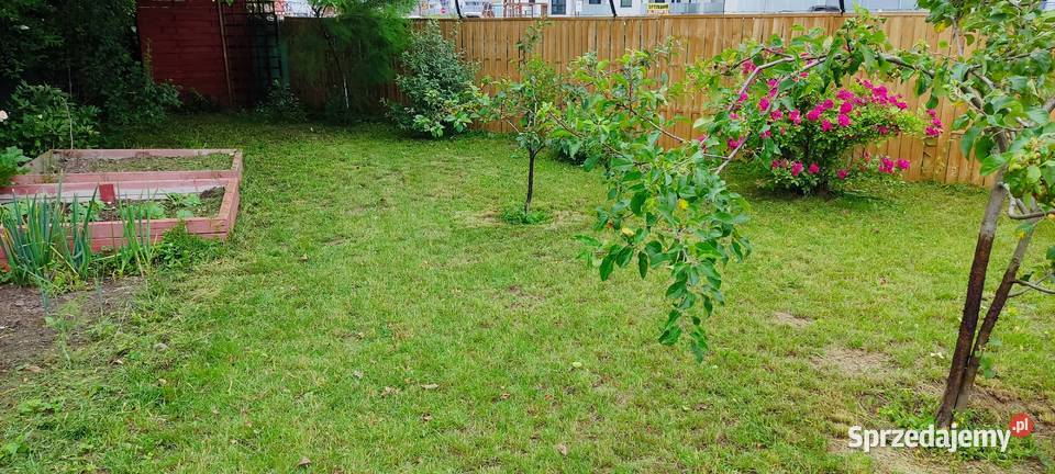 Sprzedam działkę ROD Ełk