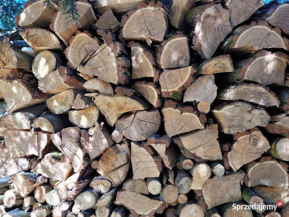 liściaste Grab Jesion Akacja Dom i Ogród Świecie