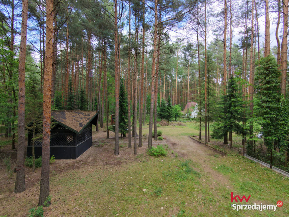 Grunt Masłońskie 3866m2 Grunty i działki