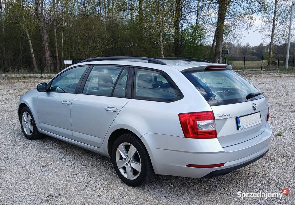 Skoda Octavia 2019 Polski Salon świętokrzyskie Busko-Zdrój