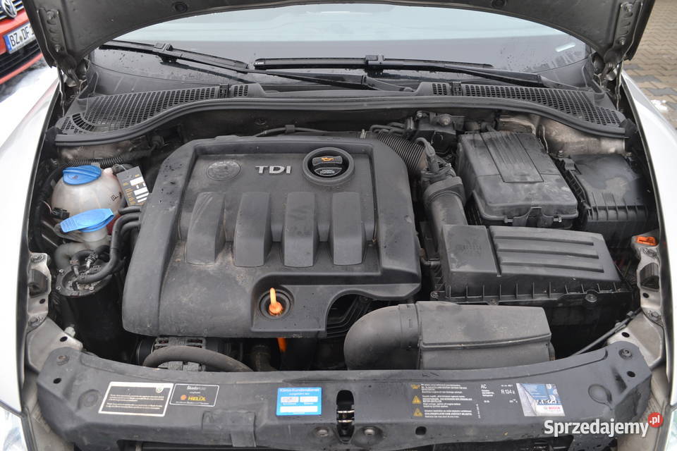 Skoda Octavia z Niemiec OPŁACONA 5 Rok produkcji 2006 Octavia Zgorzelec