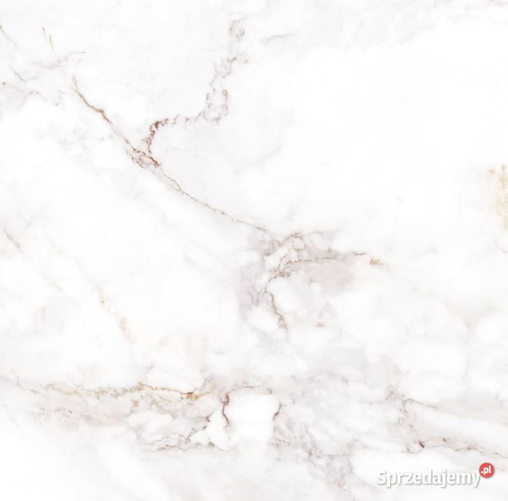 gres 6060 palazzo white błyszczący ENTR gat1