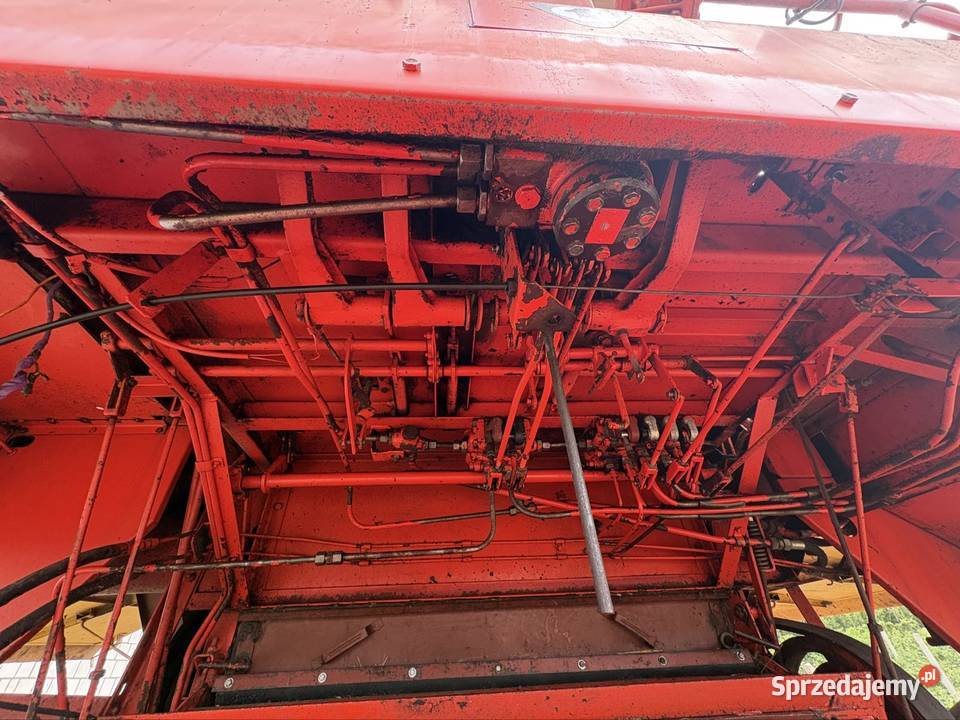 Bizon z056 Zbożowe sprzedam