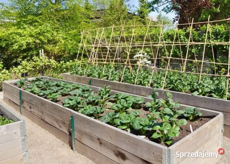 GRZĄDKI drewniane warzywniak 120x80 grządka Pozostałe małopolskie Kraków