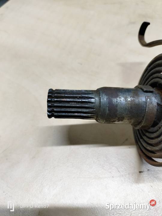 Komar jajko wałek startera sprzedam