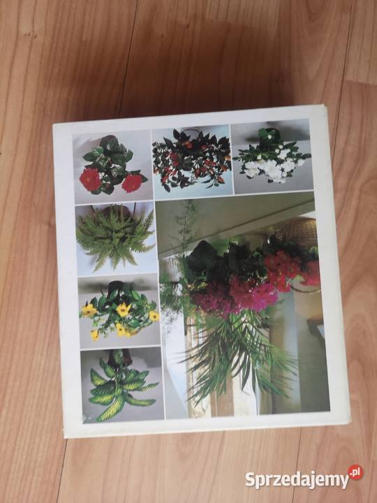 Kwiaty w domu Wałbrzych