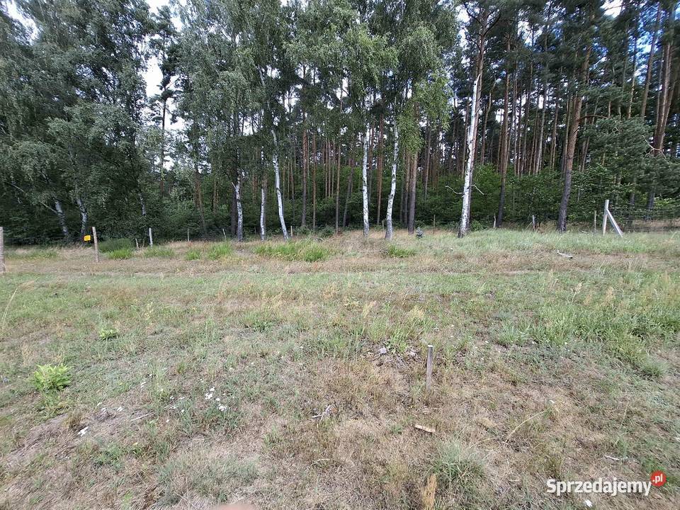 Zimna Woda działka 1364 arów projekt domu gotowy 1364m2