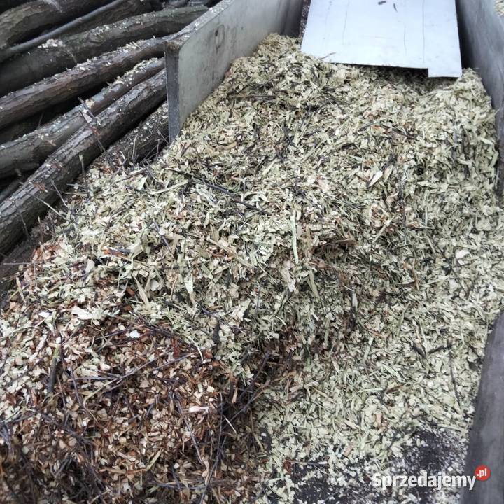 Zrębki Zrębka owocowa Ostrów Wielkopolski sprzedam