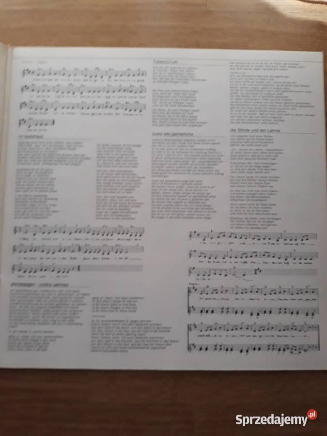 Muzyka niezwykła OUGENWEIDE Liedebuch 19762LP Rzeszów