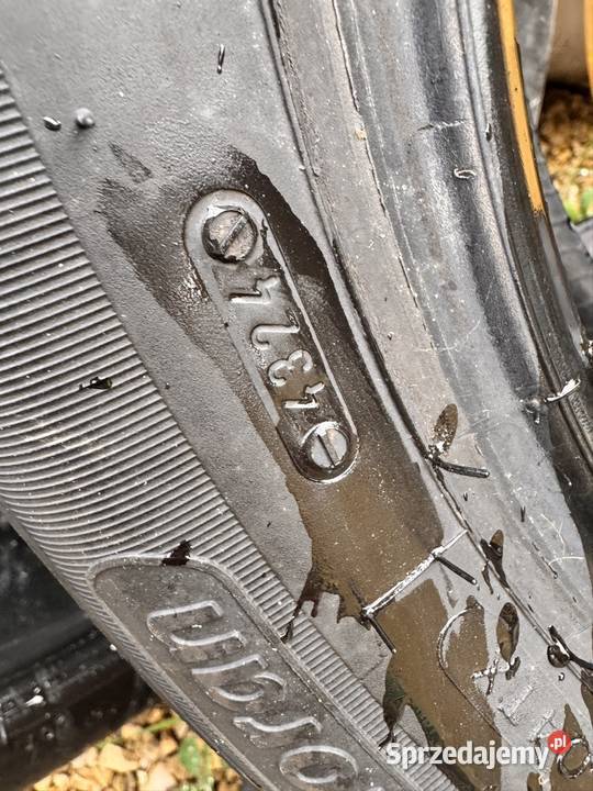 Opony zimowe kormoran 1856515 185 Boronów