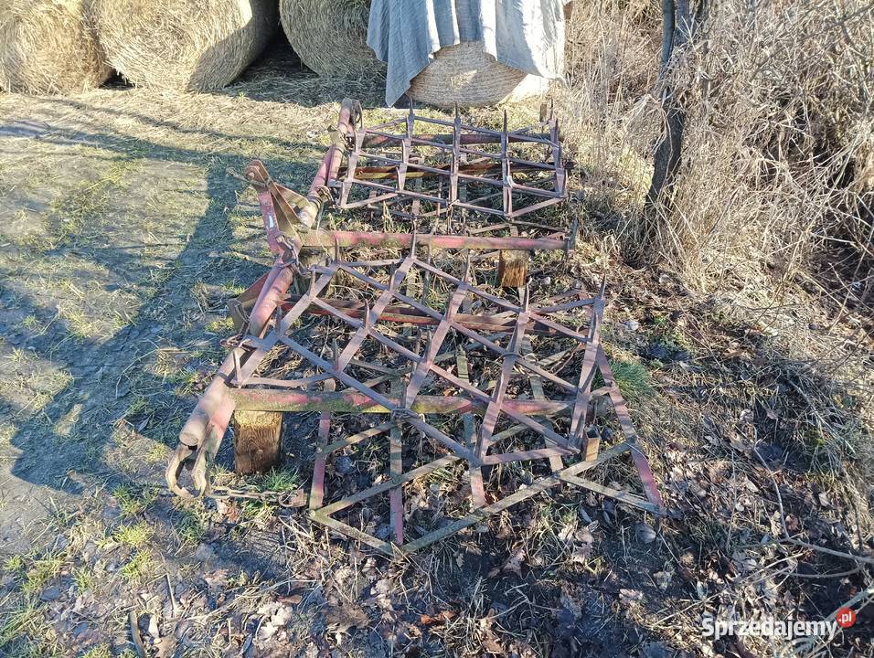 Brony 5 polowe nieuszkodzony Milicz