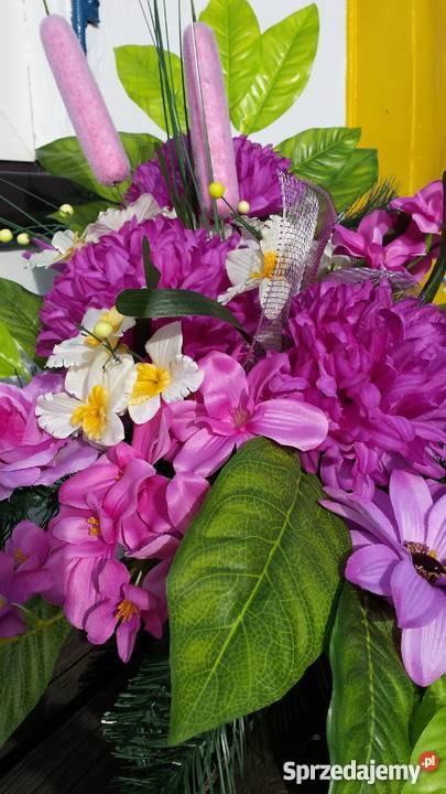 Znicze śląskie Zabrze sprzedam