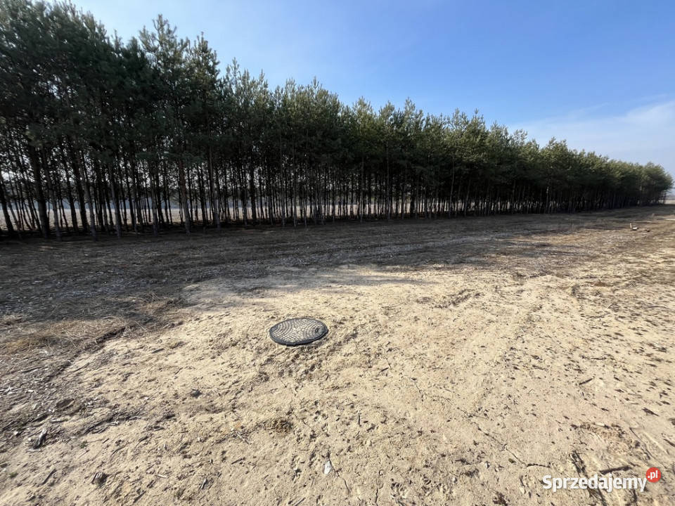 Działka z WZ w Wólce Gonciarskiej gm Kazanów Sprzedaż