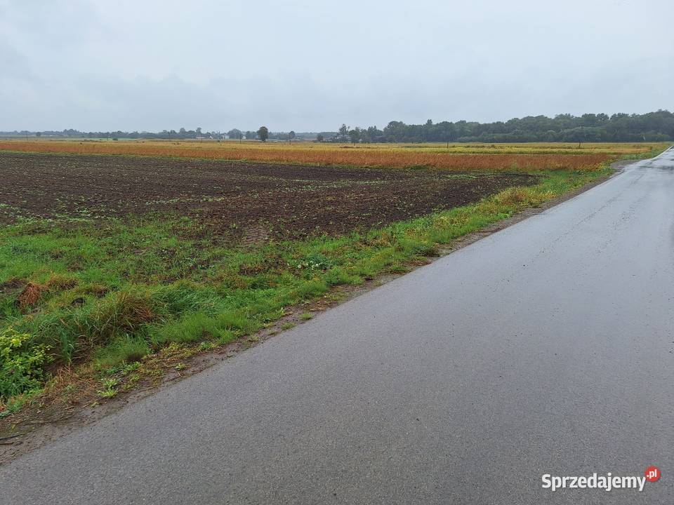 Działka budowlana Krzyżanówka gm Sienno 50000 m2
