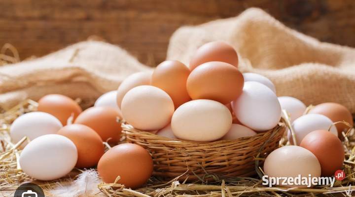 sprzedam ziemniaki Prudnik