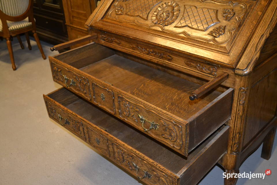 sekretarzyk ludwikowski lity dąb 2 Będzin