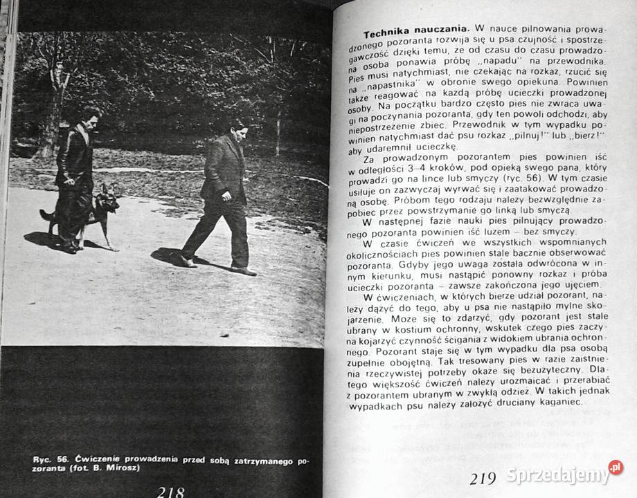 Amatorskie szkolenie psów Antoni Brzezicha Rok wydania 1989 Chełm sprzedam