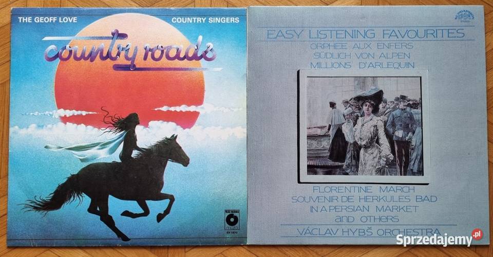 Płyty winylowe różne Muzyka sprzedam