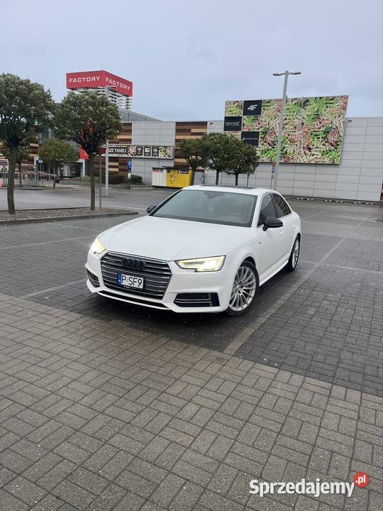 Audi A4 B9 Quattro automat biały LY9C 100 Oborniki