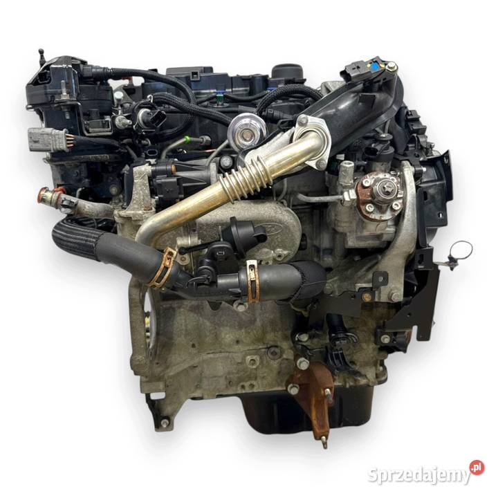 SILNIK XVJB Ford Fiesta VII MK7 B 15 TDCI 95 osobowe Chełm sprzedam