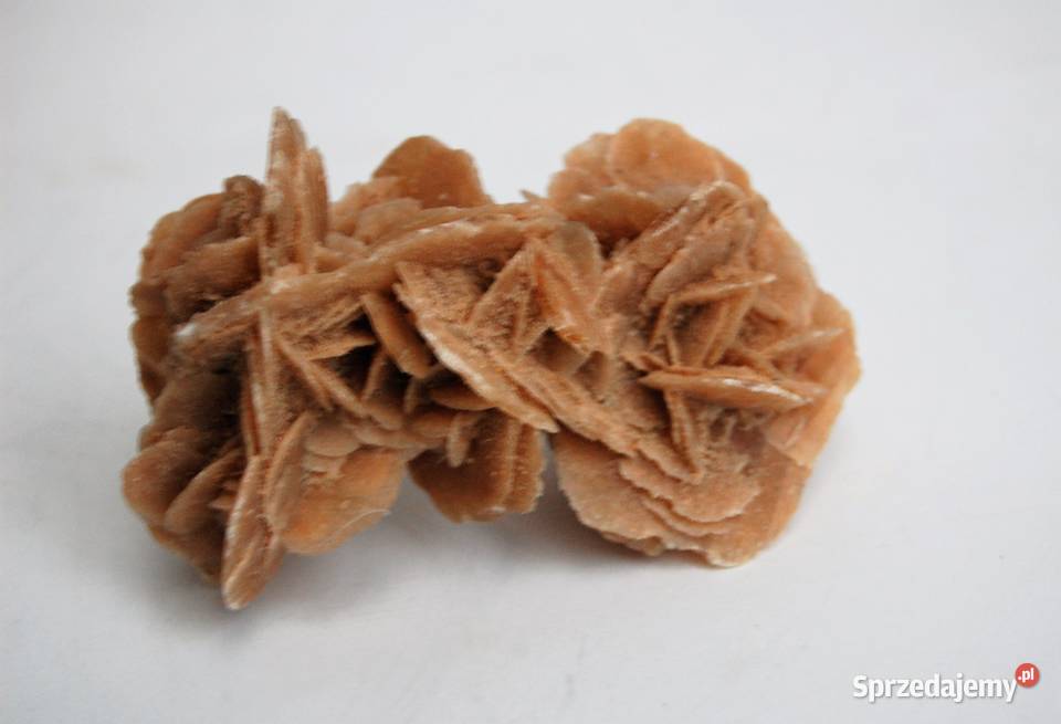 Róża pustyni kamień Sahara 10 Lublin