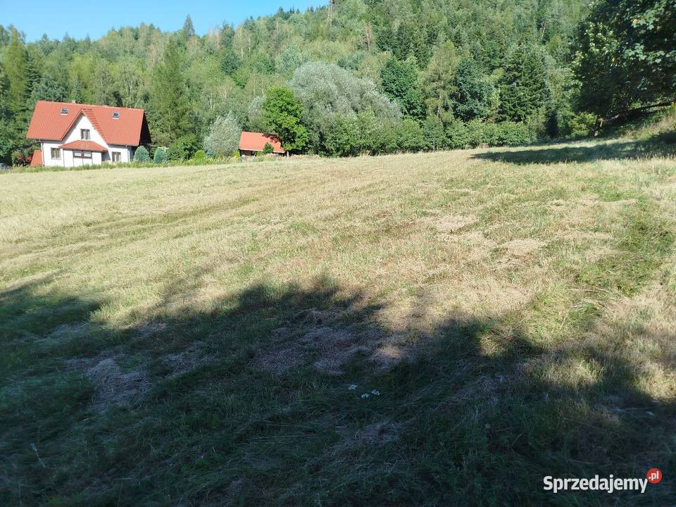 Sprzedam piękną i uzbrojona działkę budowlaną w