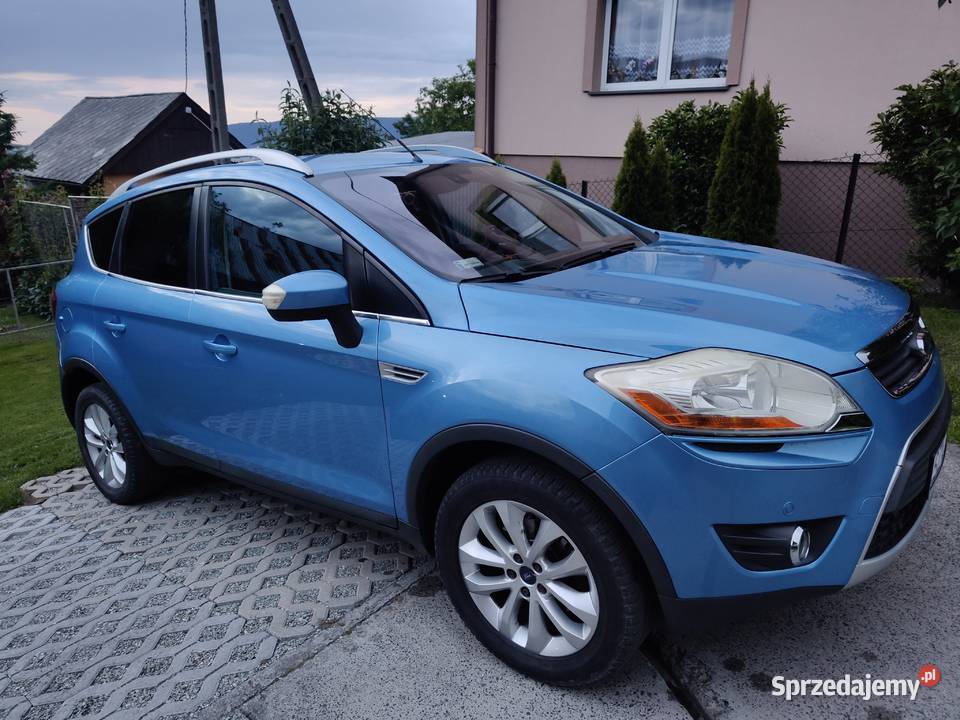 Kuga Lipowa sprzedam