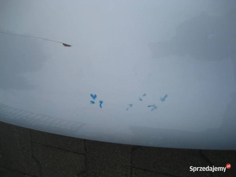 vw caddy 0310r maska pokrywa silnika kod lakieru