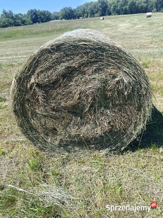 Siano 2025 lubelskie