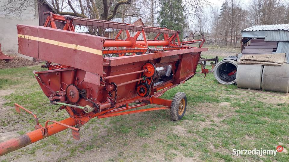 Bizon Z056 Biedaczów