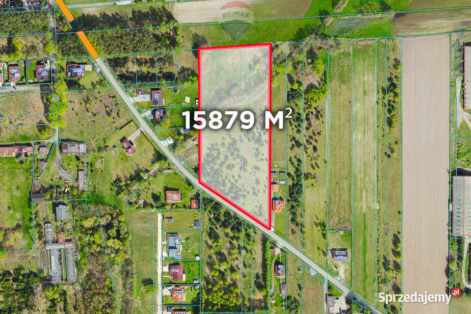 Duża działka 15 ha pod dom stadninę Jadwinin 84m łódzkie